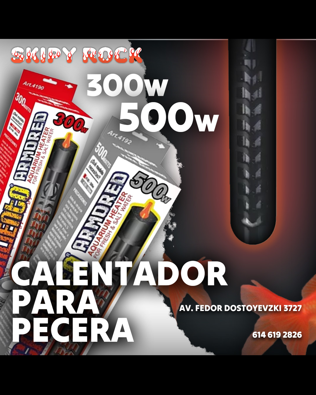 Diseño de publicacioes para redes sociales de psicologia